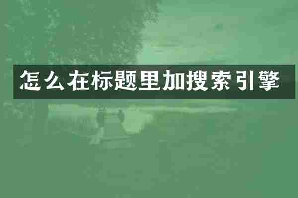 怎么在标题里加搜索引擎