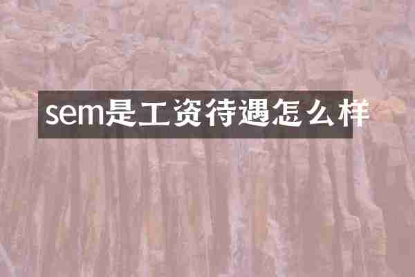 sem是工资待遇怎么样