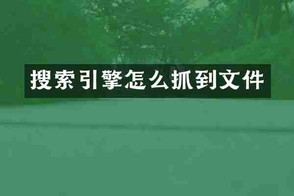 搜索引擎怎么抓到文件
