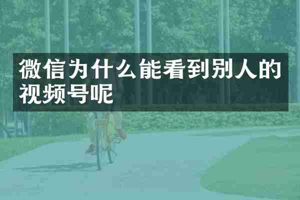 微信为什么能看到别人的视频号呢