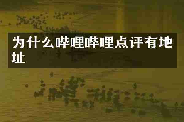 为什么哔哩哔哩点评有地址