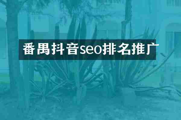番禺抖音seo排名推广