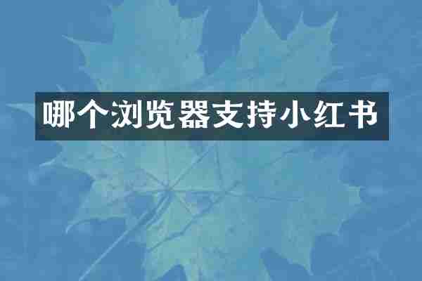 哪个浏览器支持小红书