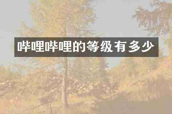 哔哩哔哩的等级有多少
