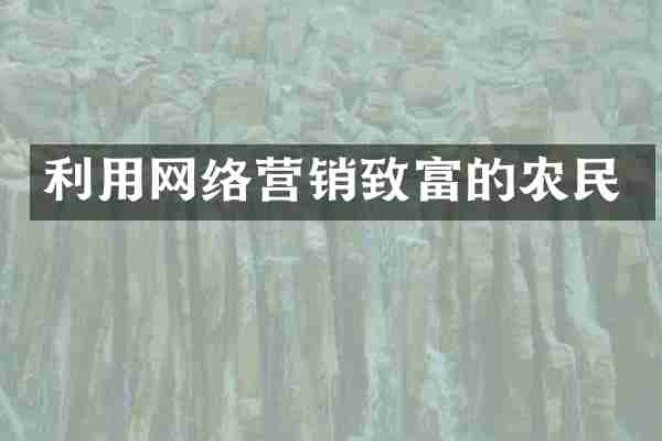 利用网络营销致富的农民