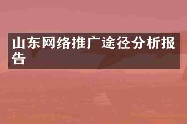 山东网络推广途径分析报告