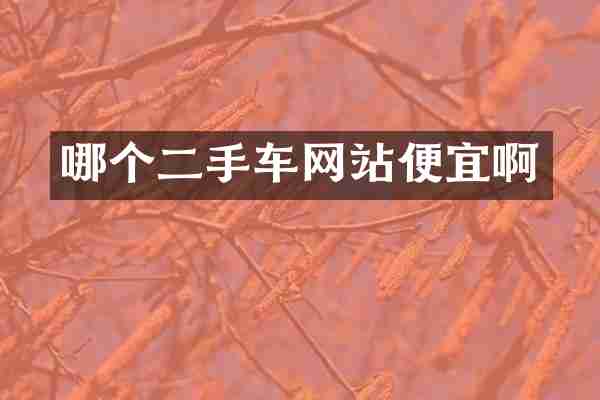 哪个二手车网站便宜啊