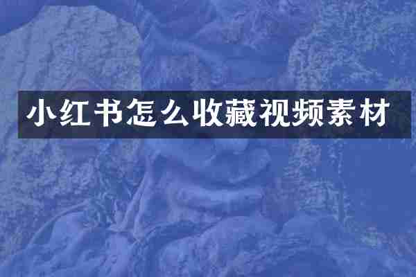 小红书怎么收藏视频素材