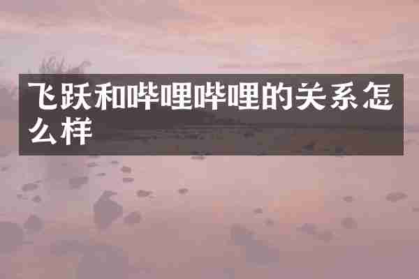 飞跃和哔哩哔哩的关系怎么样