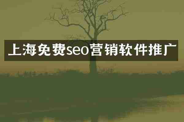 上海免费seo营销软件推广