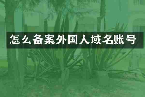 怎么备案外国人域名账号