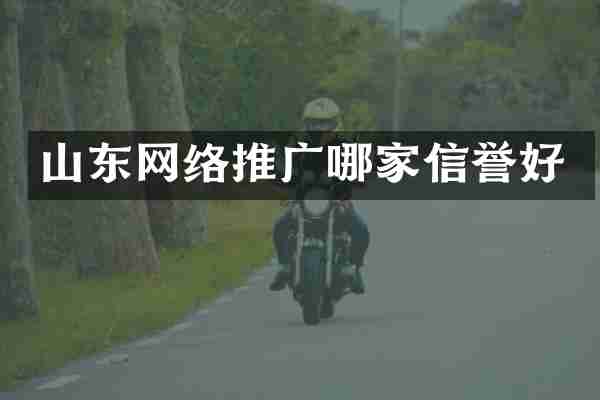 山东网络推广哪家信誉好