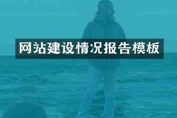 网站建设情况报告模板