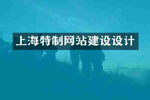 上海特制网站建设设计