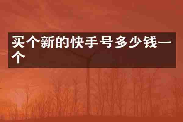 买个新的快手号多少钱一个