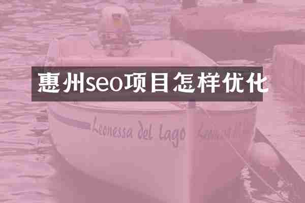 惠州seo项目怎样优化