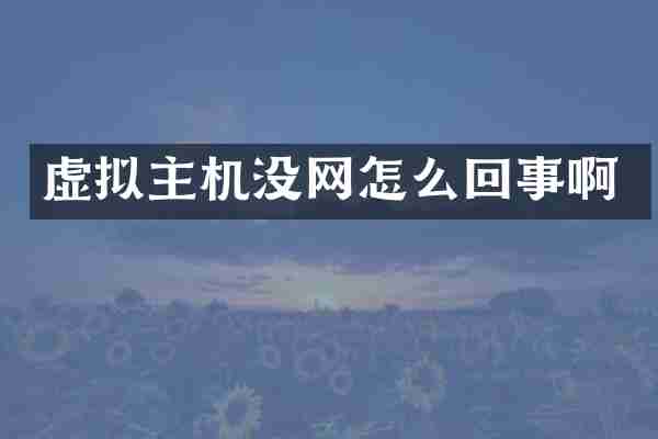 虚拟主机没网怎么回事啊