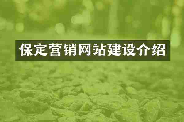 保定营销网站建设介绍