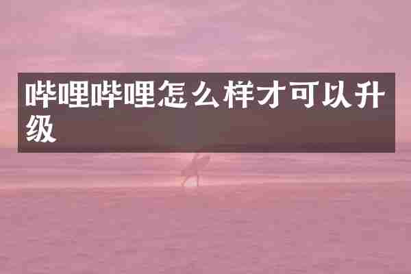 哔哩哔哩怎么样才可以升级