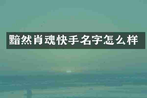 黯然肖魂快手名字怎么样
