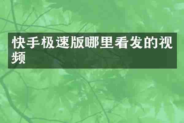 快手极速版哪里看发的视频