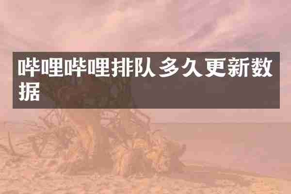 哔哩哔哩排队多久更新数据