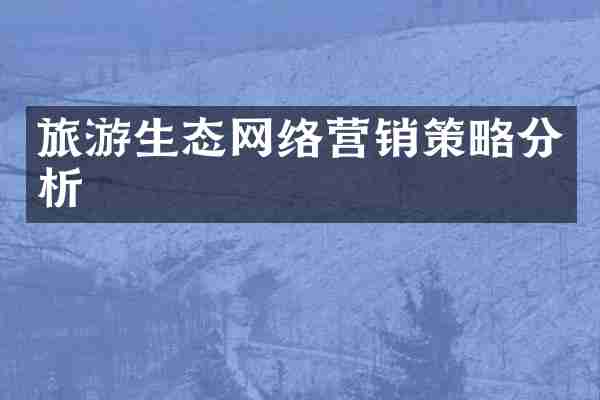 旅游生态网络营销策略分析