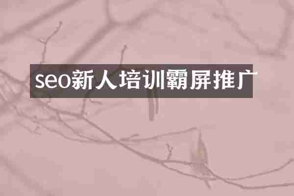 seo新人培训霸屏推广