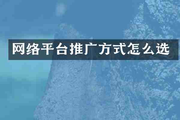 网络平台推广方式怎么选