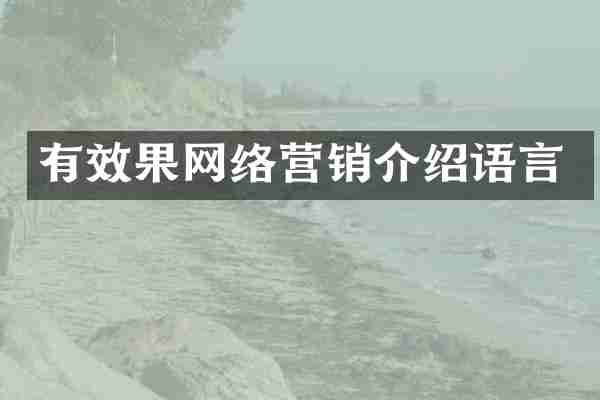 有效果网络营销介绍语言