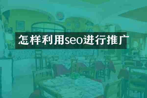 怎样利用seo进行推广