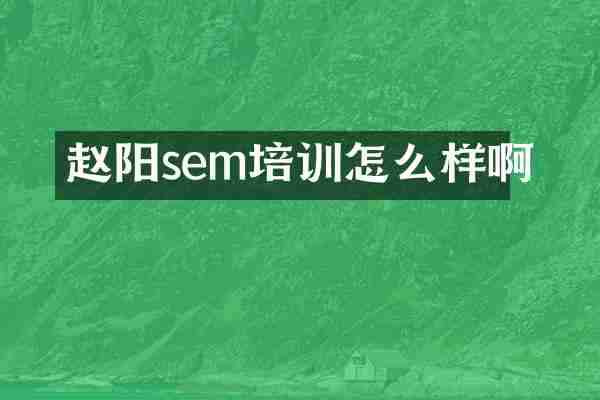 赵阳sem培训怎么样啊