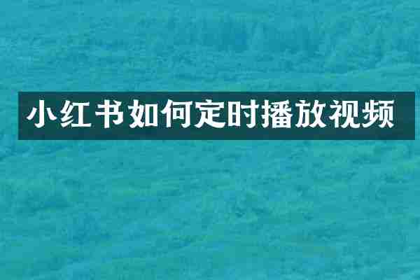 小红书如何定时播放视频