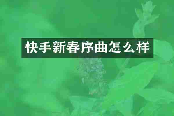 快手新春序曲怎么样