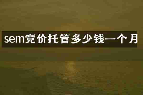 sem竞价托管多少钱一个月