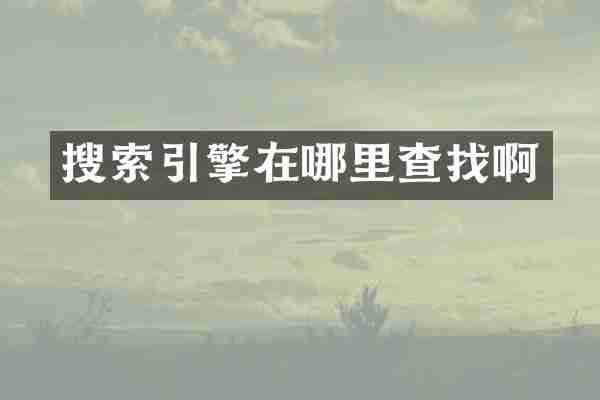搜索引擎在哪里查找啊