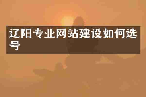 辽阳专业网站建设如何选号