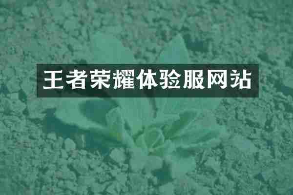 王者荣耀体验服网站
