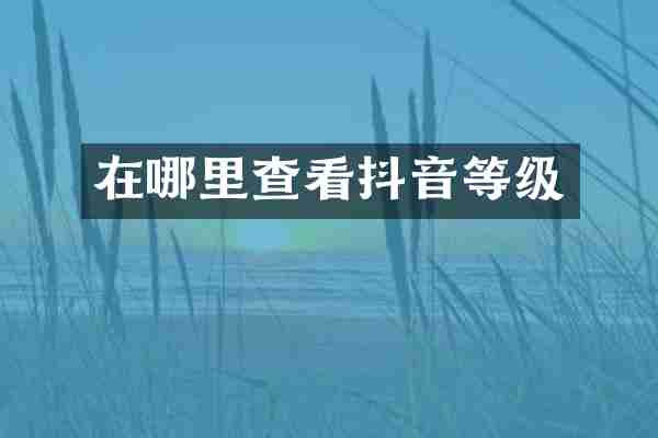 在哪里查看抖音等级