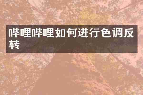 哔哩哔哩如何进行色调反转