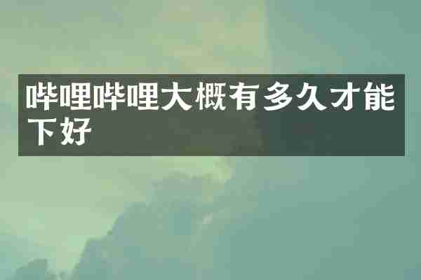 哔哩哔哩大概有多久才能下好