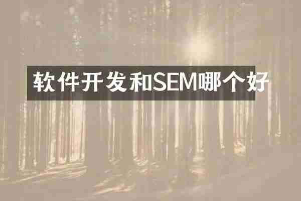 软件开发和SEM哪个好