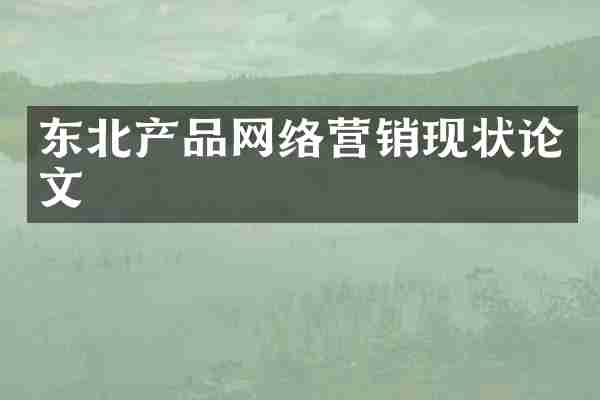 东北产品网络营销现状论文