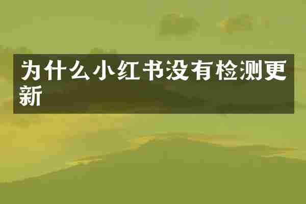 为什么小红书没有检测更新