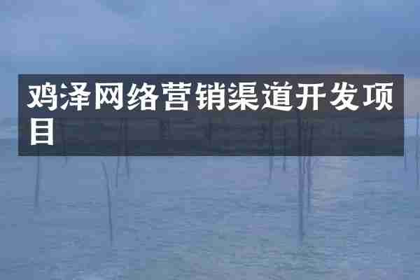 鸡泽网络营销渠道开发项目