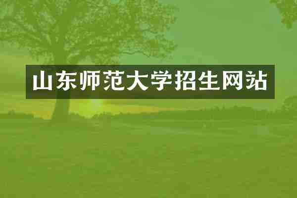 山东师范大学招生网站