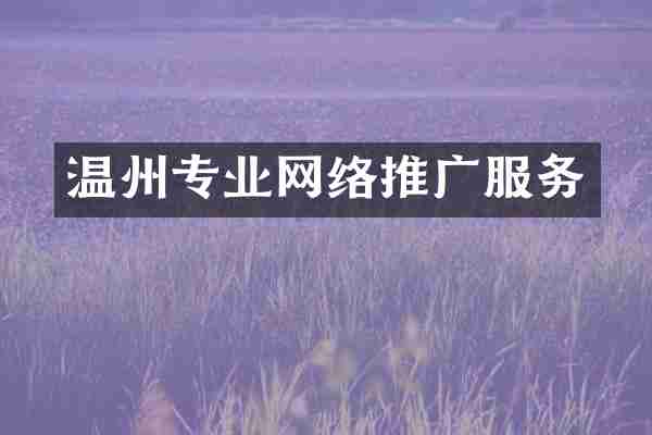 温州专业网络推广服务