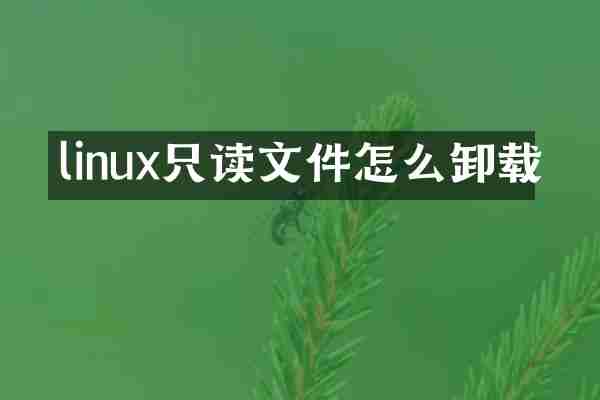linux只读文件怎么卸载