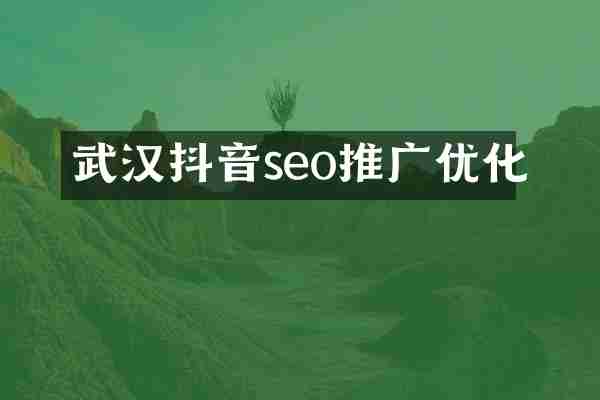 武汉抖音seo推广优化