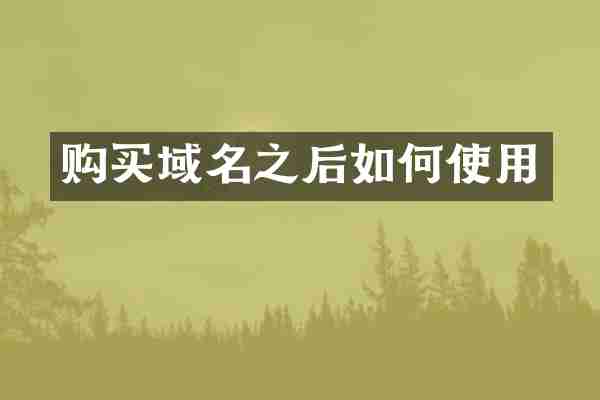 购买域名之后如何使用